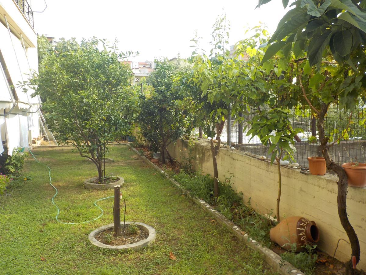 Hotel Kallithea Lutrá Edipszú Kültér fotó
